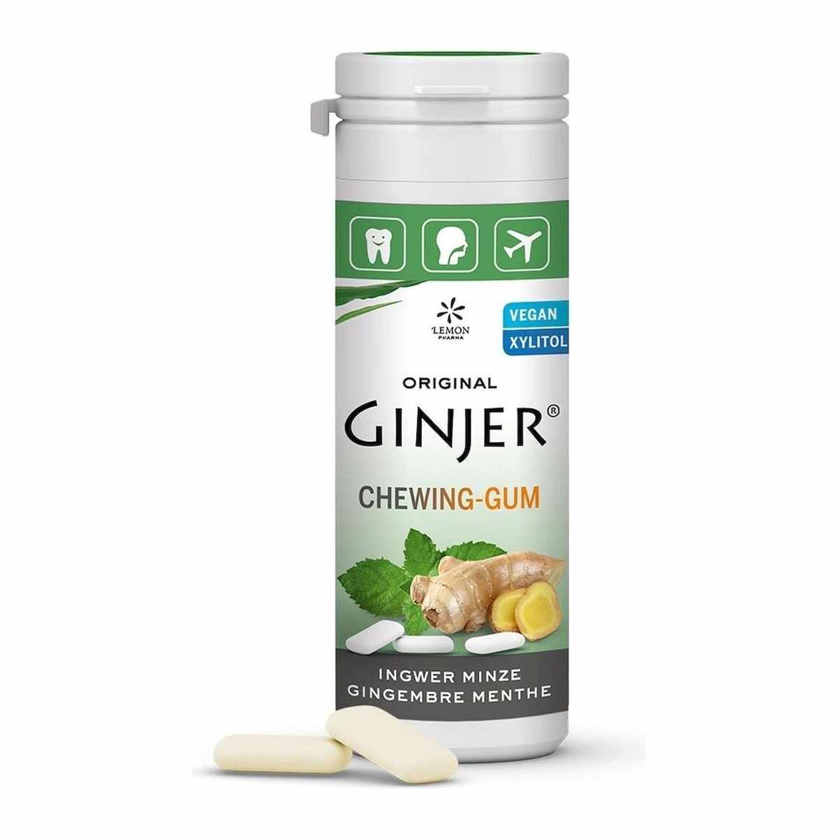 GINJER CHEWING GUM MINT 30G