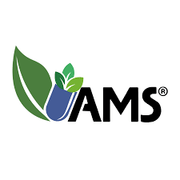 Ams