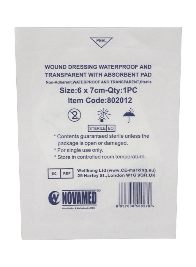 NOVAMED 1723 CLEAR PLASTER WATER RESIST 50s