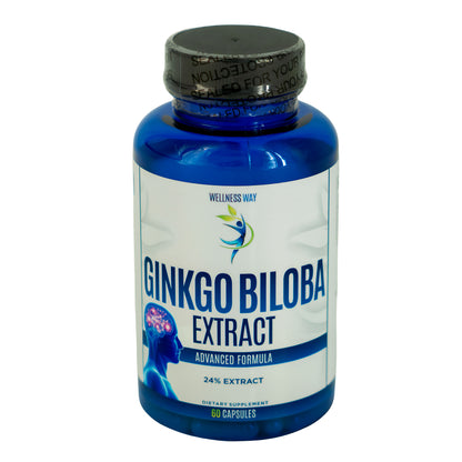 Wellness Way Ginkgo Biloba 120Mg 60Tab