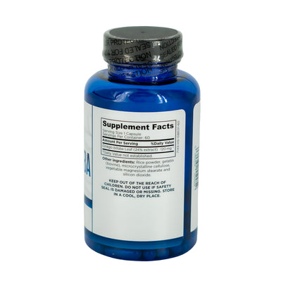 Wellness Way Ginkgo Biloba 120Mg 60Tab