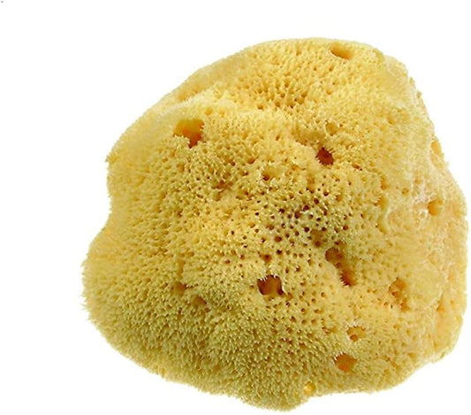 BEAUTYTIME SEA SPONGE BT337