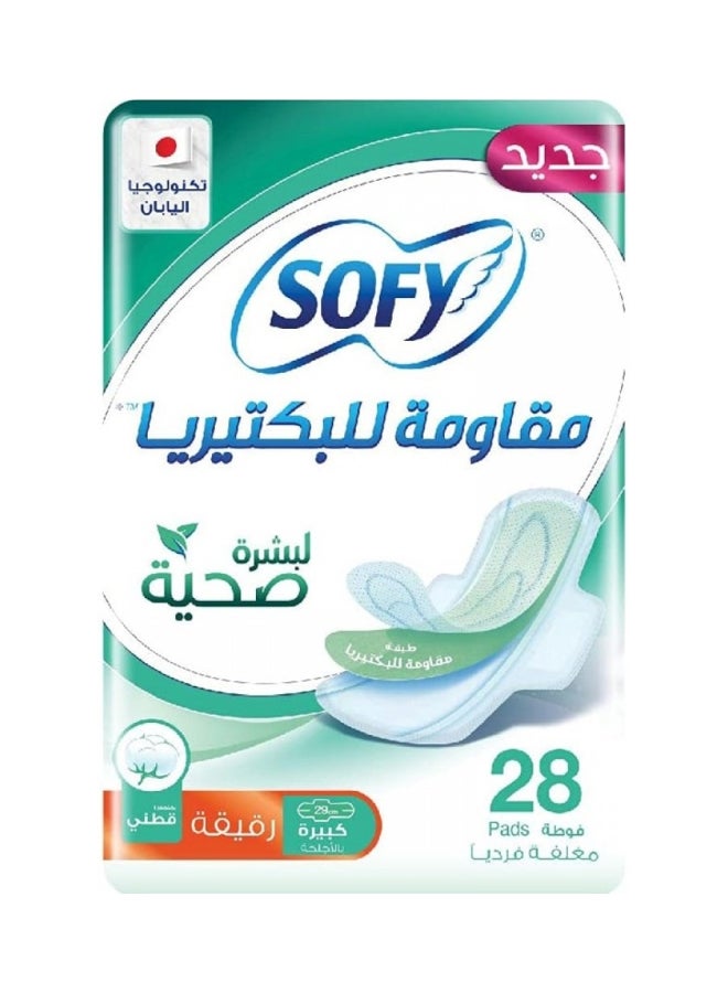 SOFY SLIM ANTBCTRAL PNTYLINER LARGEPADS 28S