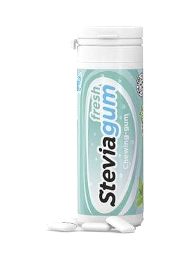 GINJER STEVIAGUM SPEAR FRESH 30G