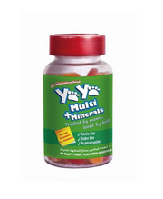 YAYA BEAR MULTI+MINERALS GUMEE 60S