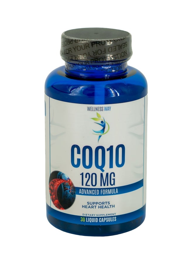 WW COQ10 120MG 30SOFTGELS