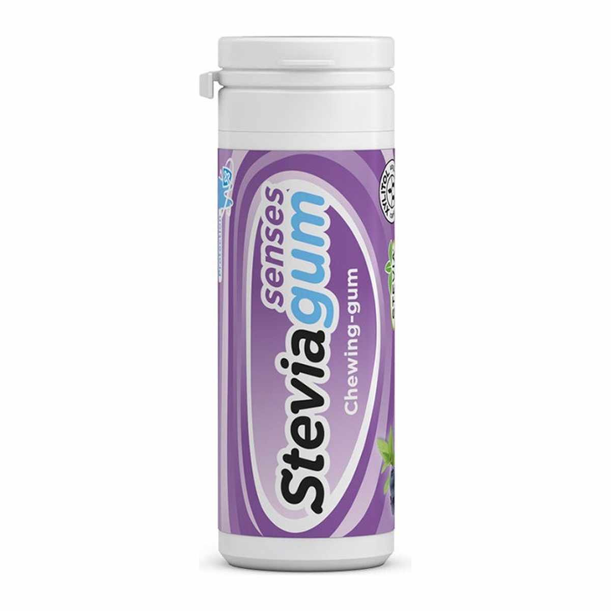 GINJER STEVIAGUM SENSES BLUEBERRY 30G